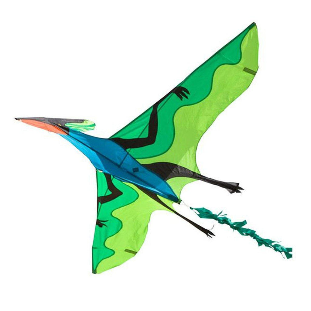 Flying Dinosaur 3D Kite