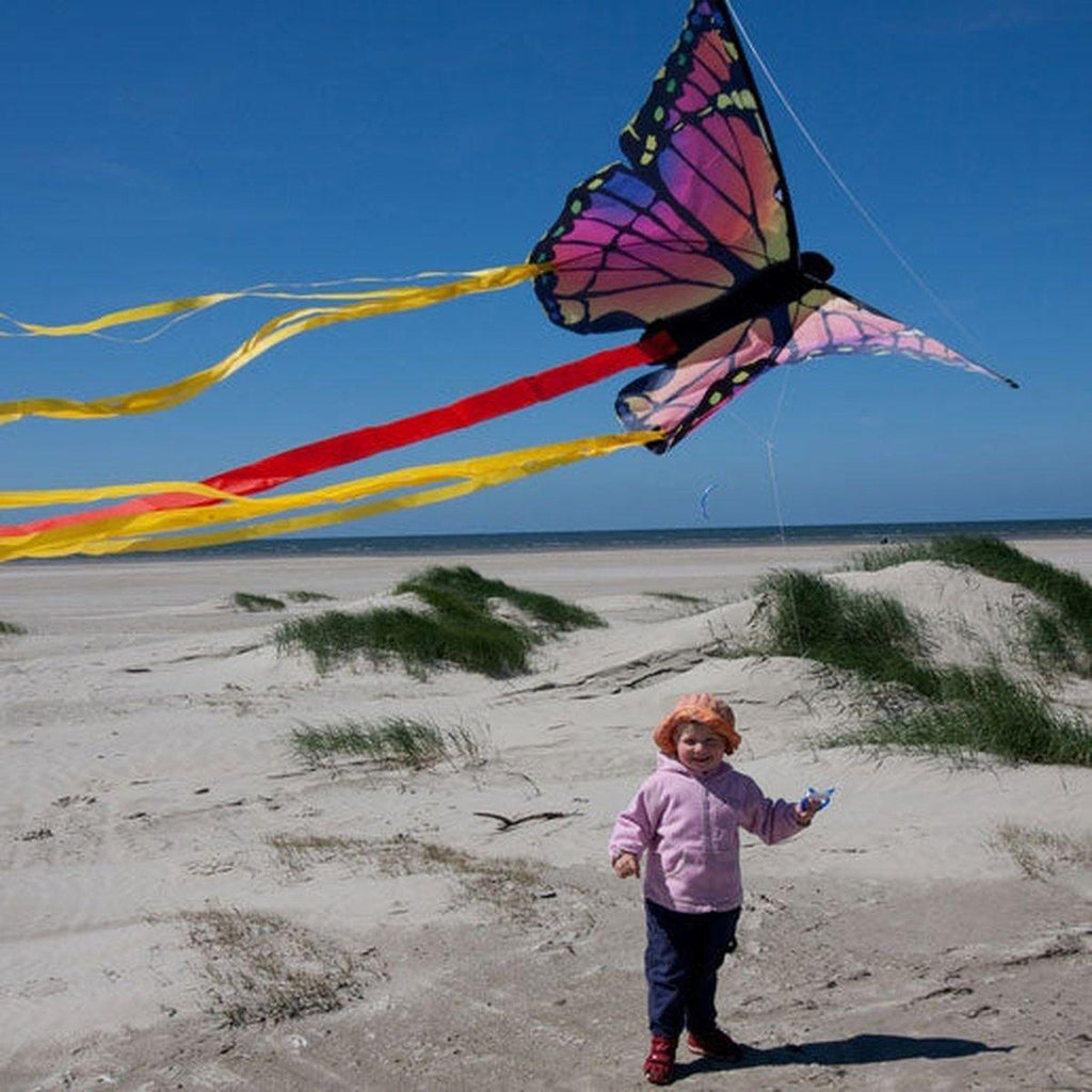 HQ Butterfly KIte